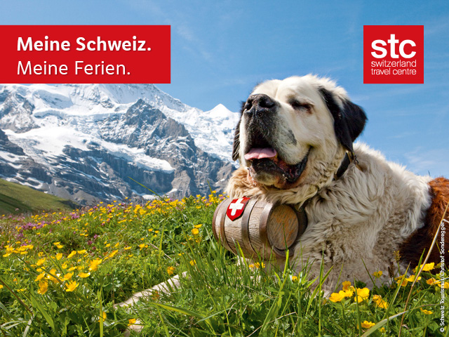 Günstige Rundreisen und Pauschalreisen buchen Lidl Reisen