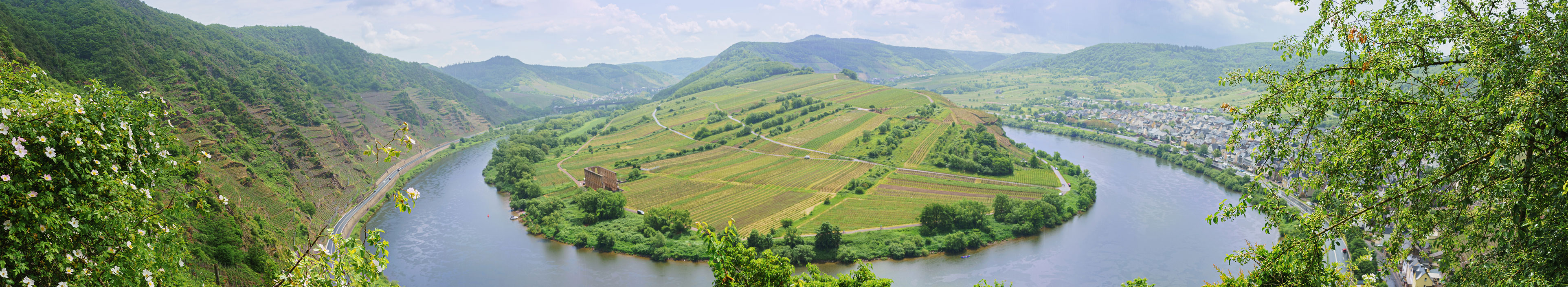 Die Mosel-Schleife von oben