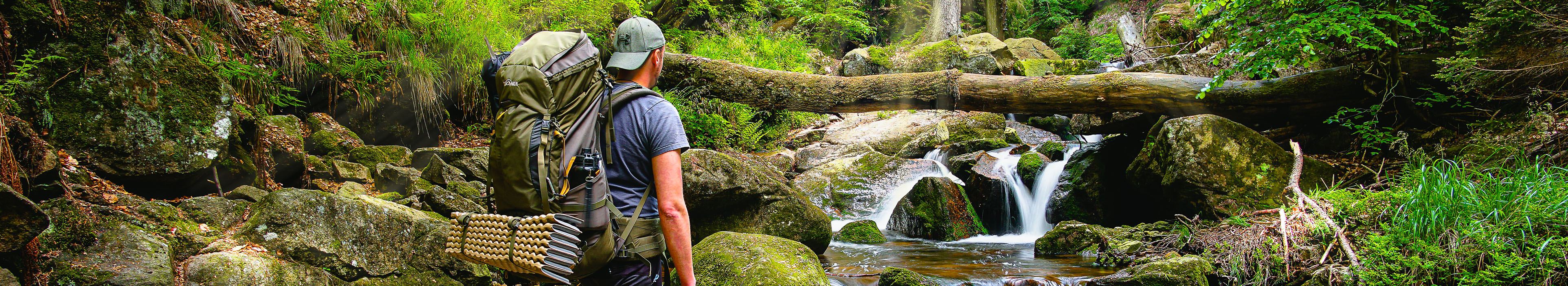 Die Ilsefälle im Harz
