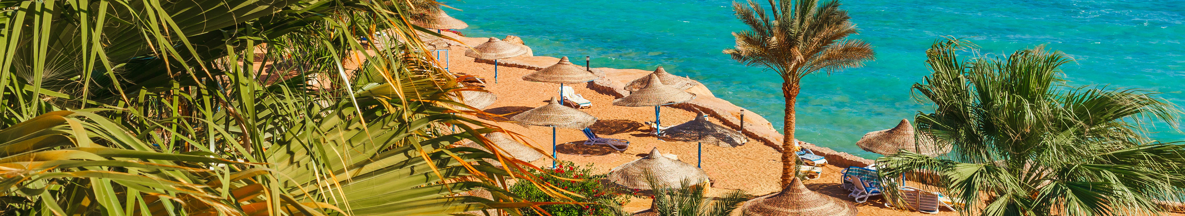 Strand und Palmen in Ägypten