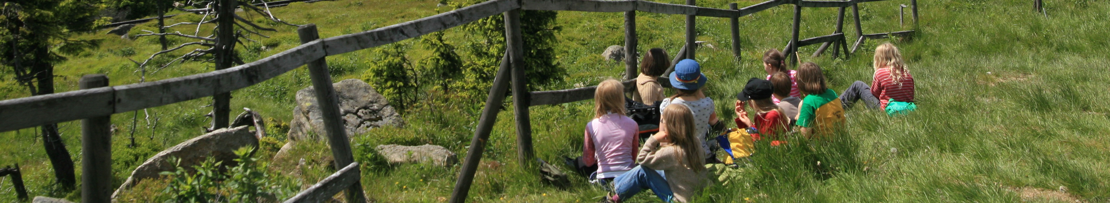 Brockenwanderung mit Kindern im Harz