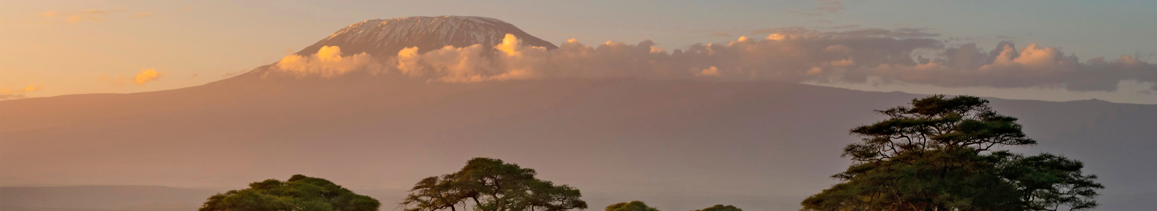 Der Berg Kilimanjaro im Hintergrund, in Kenia