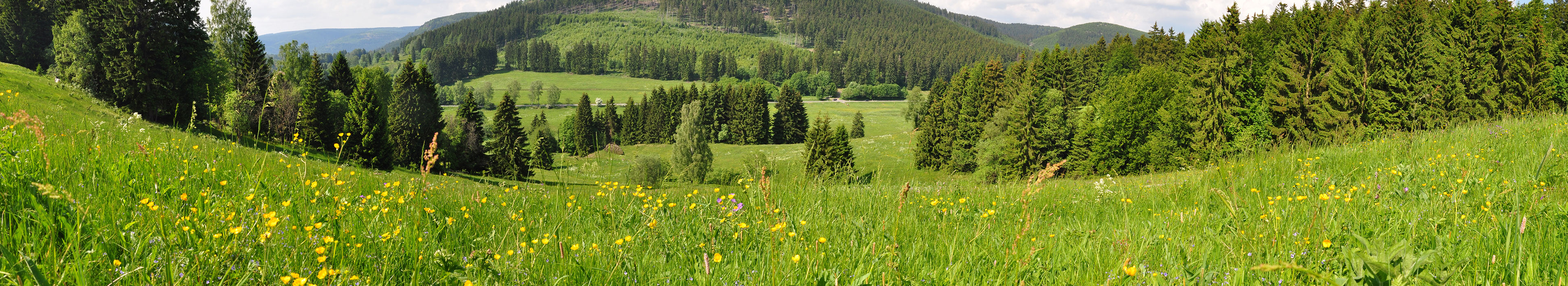 Panoramafoto Kanzlersgrund / Thüringer Wald